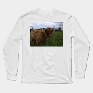 Scottish Highland Cattle Calf 1473 Long Sleeve T-Shirt